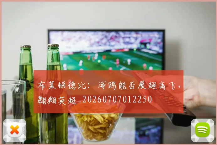 布莱顿德比：海鸥能否展翅高飞，翱翔英超_20260707012250