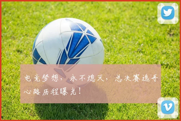 电竞梦想,永不熄灭,总决赛选手心路历程曝光!