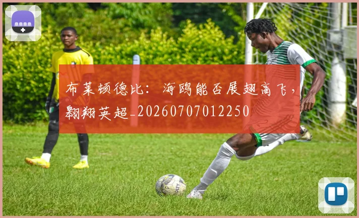 布莱顿德比:海鸥能否展翅高飞,翱翔英超_20260707012250