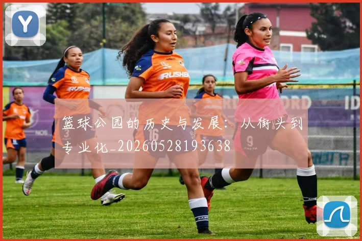 篮球公园的历史与发展:从街头到专业化_20260528193638