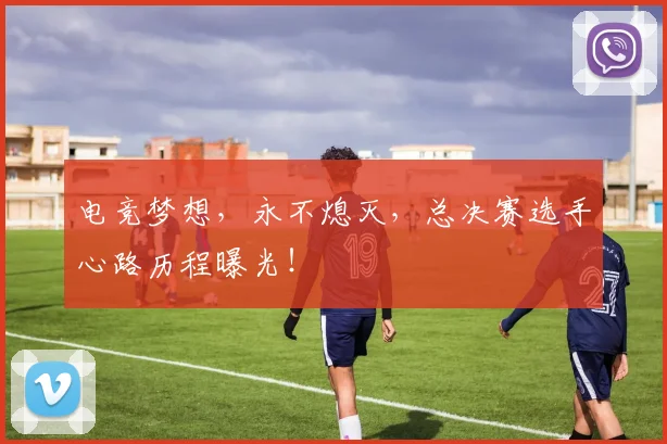 电竞梦想，永不熄灭，总决赛选手心路历程曝光！